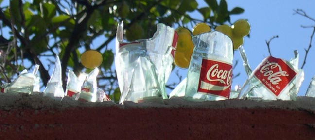 Original photo by Donna Durbin